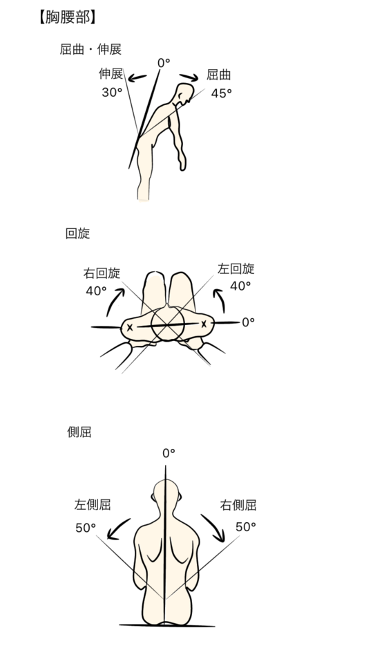 主な関節の参考可動域角度