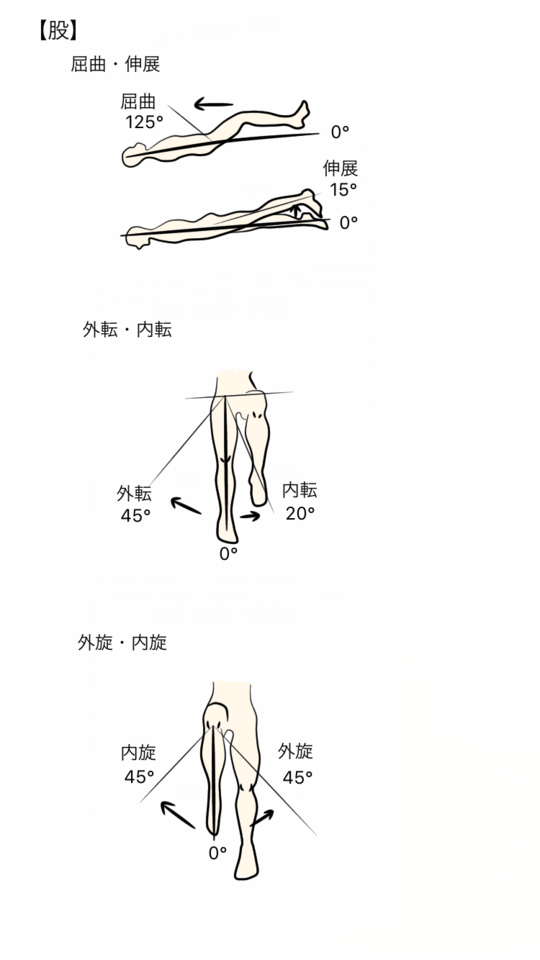 主な関節の参考可動域角度